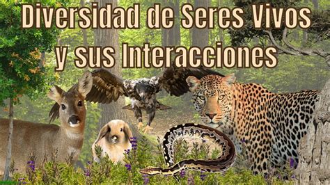 Diversidad De Los Seres Vivos Y Sus Interacciones Youtube