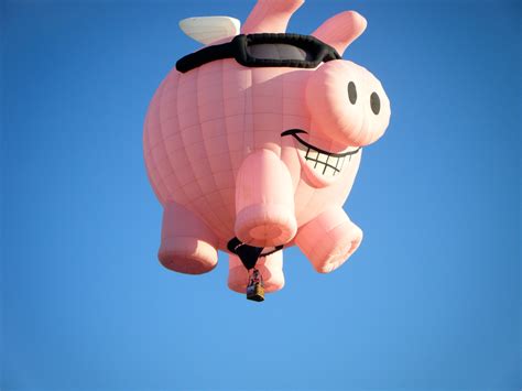 Flying Pig