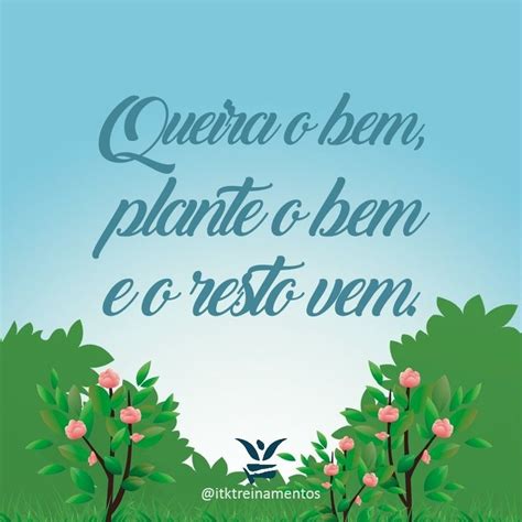 Vc Colhe O Que Planta Frases LIBRAIN