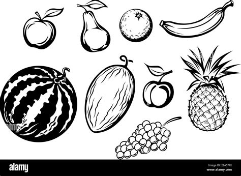 Set Of Fresh Fruits Isolated On White Backgrounds For Menu Or Market