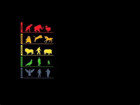 Evolution Wallpapers - Wallpaper Cave