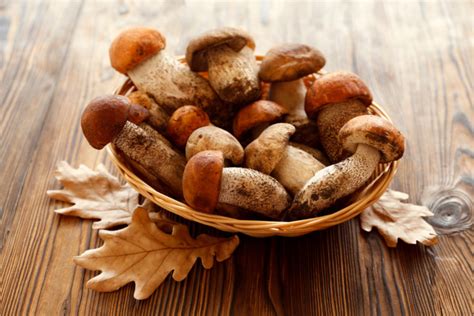 Best Shiitake Mushroom Substitutes For Cooking Tastylicious