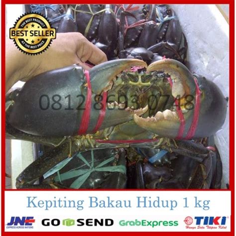 Jual PROMO KEPITING FRESH HIDUP ISI 4 5 EKOR 200gram Up KEPITING BAKAU