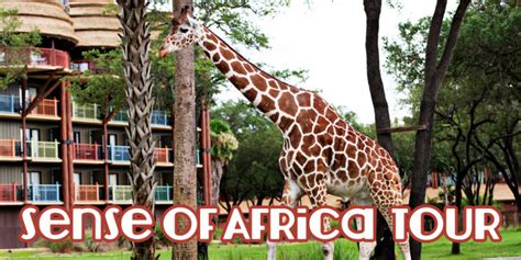 Sense of Africa Tour - Mouseketrips