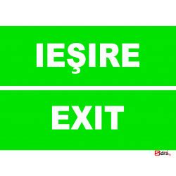 Indicator Iesire Exit Original Sidra