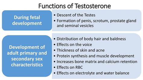 Physiology Of Male And Female Reproduction Ppt Download