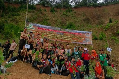 Sejumlah Elemen Tanam 1 Juta Pohon Di Puncak Mahkota Longsoran Gunung Lio Salem Brebes Portal