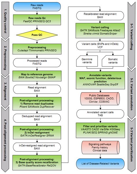 Bioinformatics Workflow Of Whole Exome Sequencing Exome Sequencing