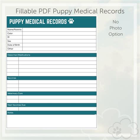 Puppy Medical Records Forms Fillable Pdf Teal Etsy