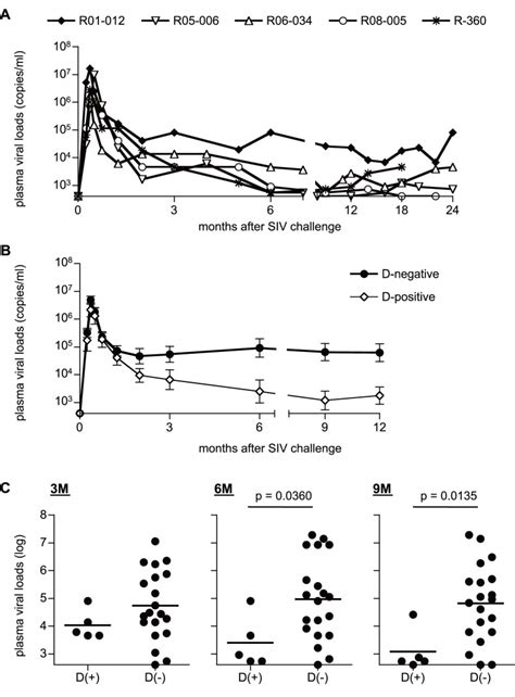 Plasma Viral Loads Siv Gag Rna Copies Ml Plasma Were Determined As