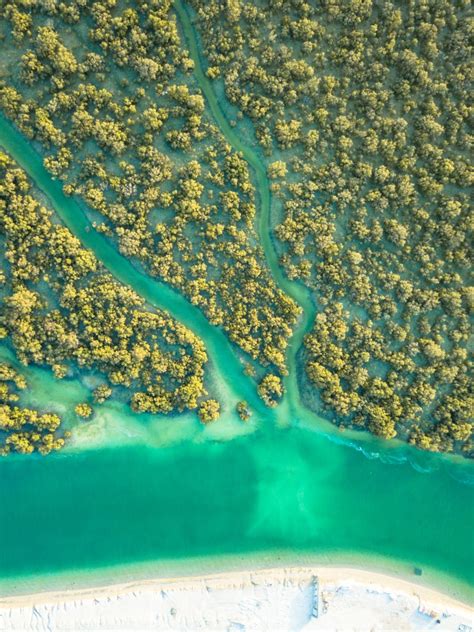 Abu-Dhabi-Mangroves – Sekka