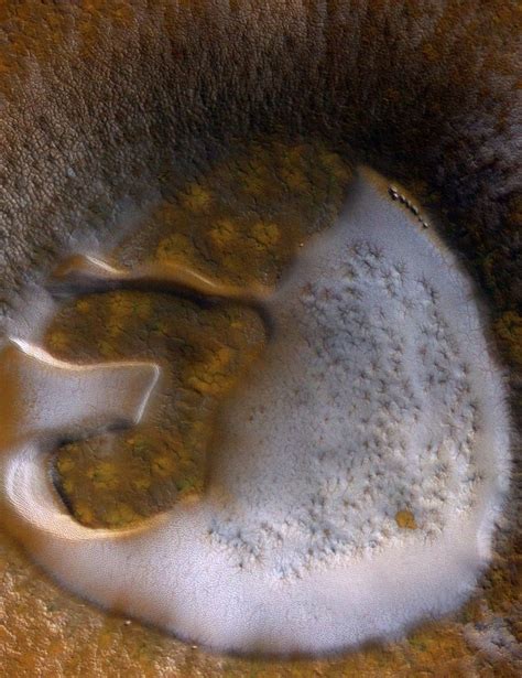 Mars Polar Caps Exploring Carbon Dioxide Frost