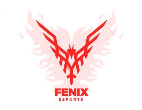 Fenix Esports - Esportsview