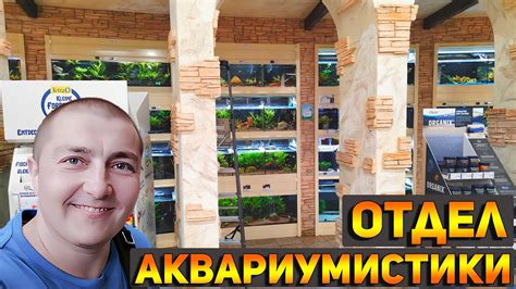 Зоомагазин в Германии! Большой ассортимент рыбок, растений, кормов и ...