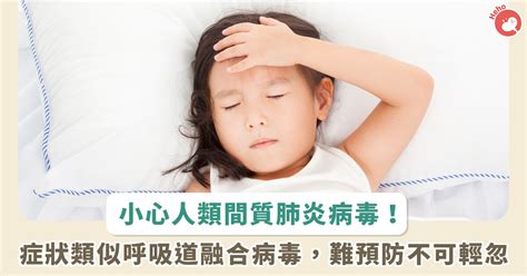 人類間質肺炎病毒 Heho健康