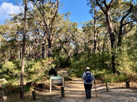 Pinnacles Loop Walk Walking Maps