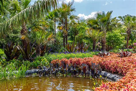 Gallery Of The New York Botanical Garden Opens Expansive Show On Roberto Burle Marx 4