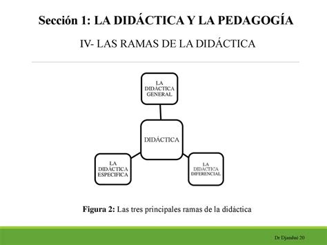 Departamento de Estudios Ibéricos y Latino Americanos DEILA ppt