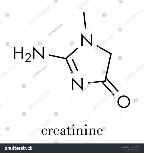 Creatinine Molecule Creatine Breakdown Product Creatinine Stock Vector