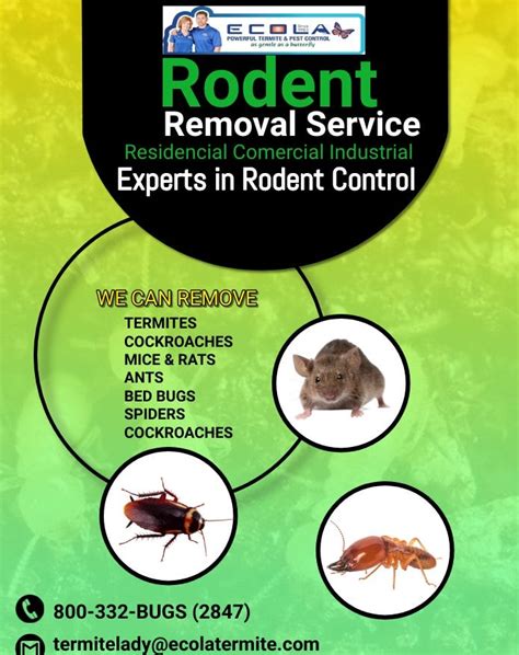 Alternative Pest Control Solutions Ecola Termite And Pest Control