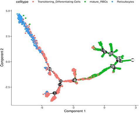 Frontiers Single Cell Rna Seq Analysis Of Human Red Cells