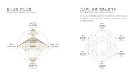 领地集团企业简介 领地集团有限公司