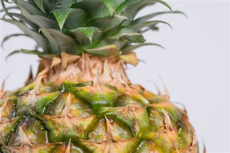 Pineapple Fruit · Free Stock Photo