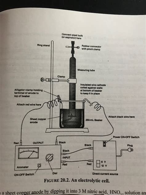 The experiment Set Up. Puting copper in 1 mol H2SO4 | Chegg.com