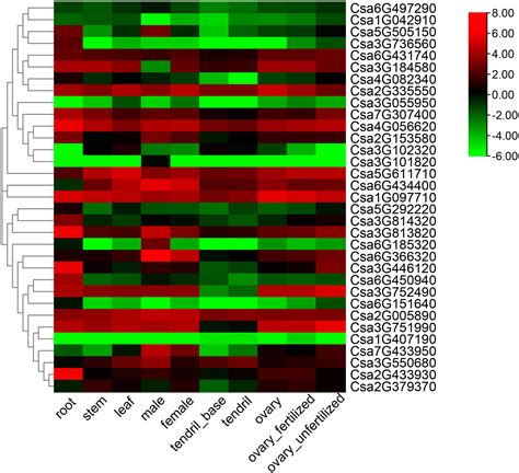 Frontiers Genome Wide Characterization Phylogenetic And Expression