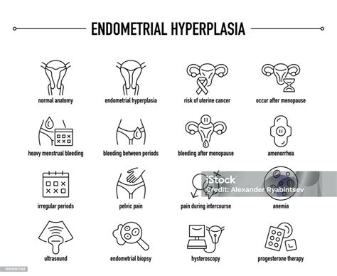 Endometrial Hyperplasia Symptoms Diagnostic And Treatment Vector Icons Stock Illustration