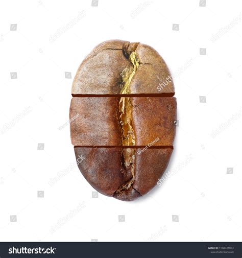 1,344 Coffee Bean Level Images, Stock Photos & Vectors | Shutterstock