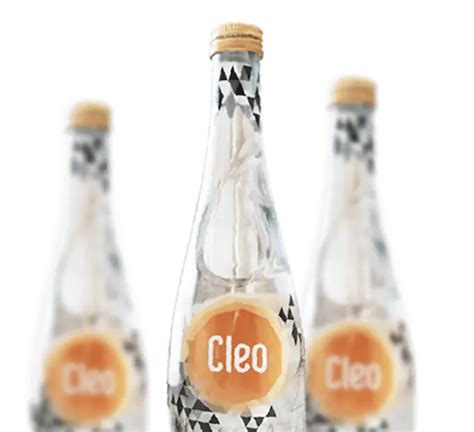 6 Rekomendasi Air Murni Terbaik Dari Cleo Pure Water Menyehatkan