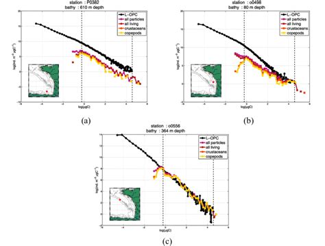 Examples Of Simultaneous Normalized Biomass Size Spectra NBSS