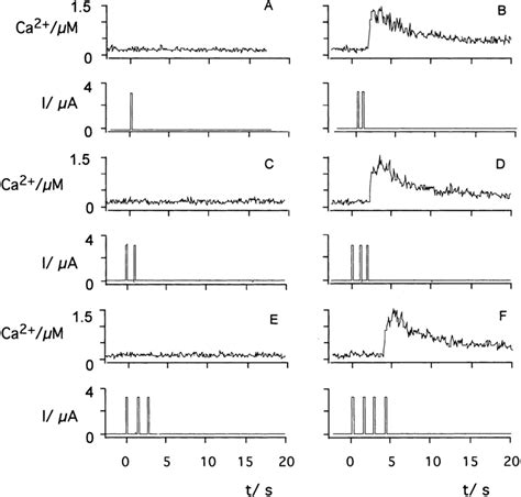 Fig Additive Effect Of Sub Threshold Pulses On Stimulation Of