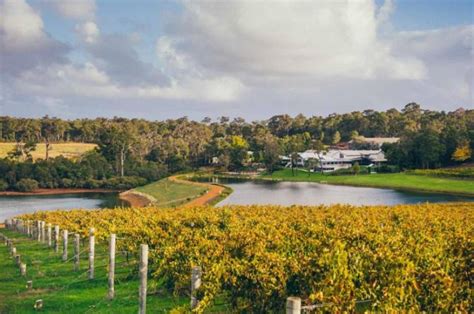 Best Wine Tasting Tours In Margaret River Western Australia