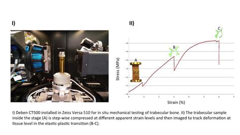 Zeiss XCT Insitu The Zeiss Global Centre At The University Of