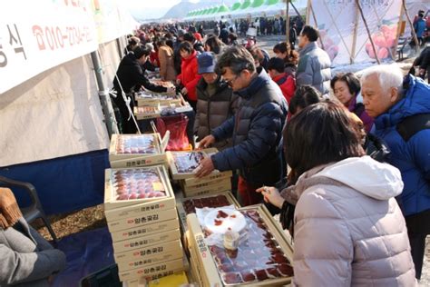 2015 양촌곶감축제 손님맞이 ‘이상무