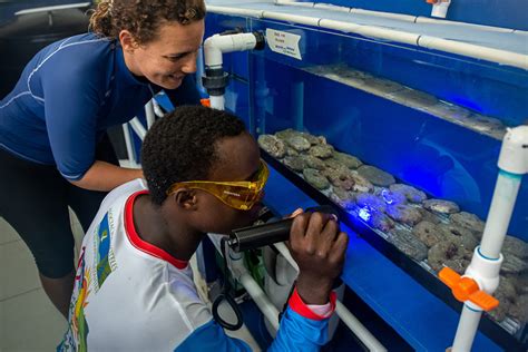 A Wider View Conservation Aquaculture Anchors Coral Reef Restoration Responsible Seafood Advocate