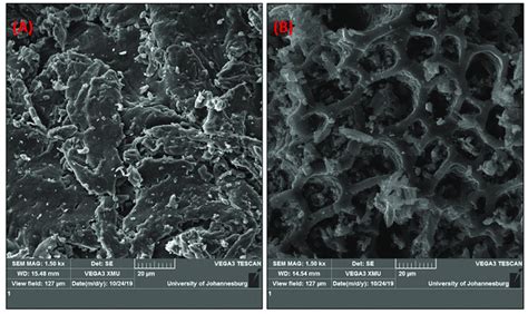 Sem Micrographs Of Corn Cob A And Biochar B Download Scientific