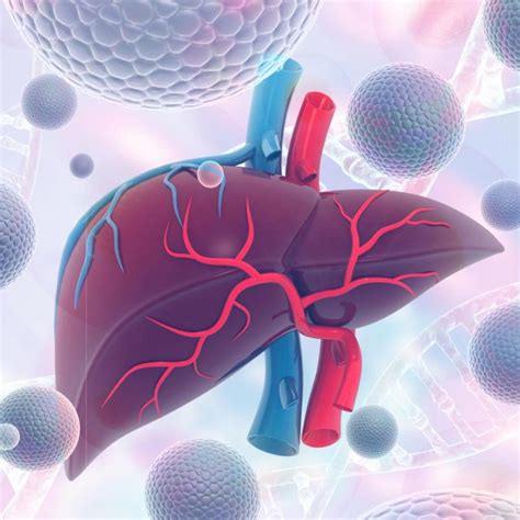 Virushepatitis Anzeichen Und Symptome Der Infektion