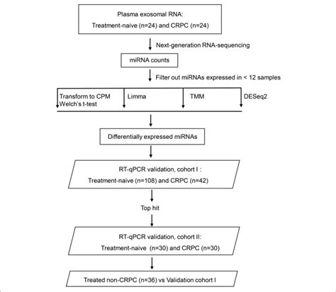 Overview Of The Plasma Exosomal Mirna Analysis Workflow Crpc