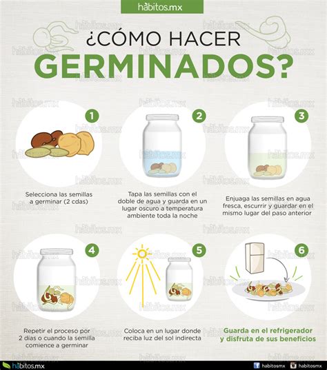 C Mo Hacer Germinados H Bitos Health Coaching