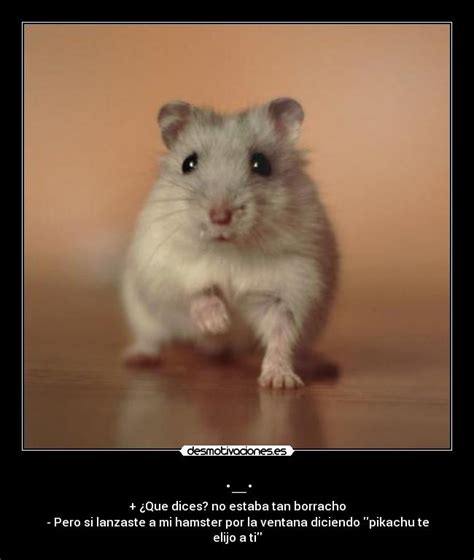 Lbumes Foto Como Saber Si Mi Hamster Esta Muerto O Hibernando Alta