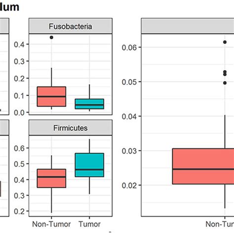 Box And Whisker Plots Of Relative Abundance Of The 6 Bacterial Phyla Download Scientific