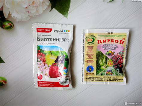 Инсектицид Биотлин, ВРК - «Обработка деревьев и кустарников от самого ...