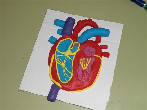 Como Hacer Un Corazon En Plastilina Imagui