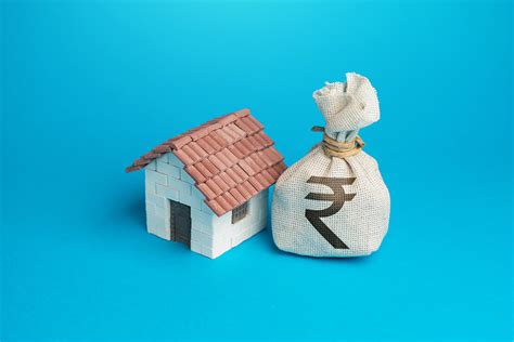 Delhi Mayor Announces Exemption Of Property Tax For Rural Residential