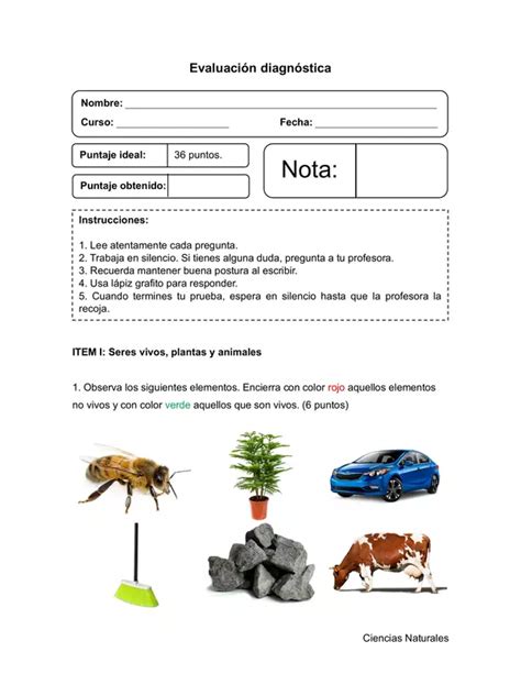 Evaluaci N Diagn Stica Ciencias Naturales B Sico Profe Social