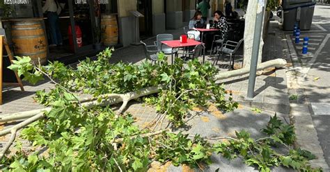 Un Herido Por La Ca Da De Una Rama De Grandes Dimensiones En Barcelona