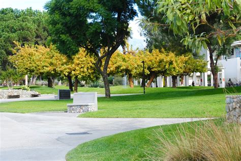 A Lens Into a Different World: Pitzer College